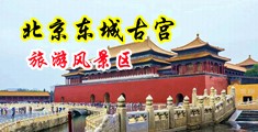 骚阴蒂中国北京-东城古宫旅游风景区